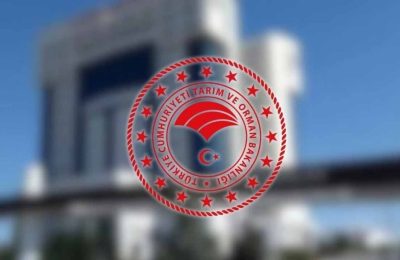 Kars’taki “yün yiyen hayvanlar” tartışmasına Bakanlıktan yanıt: “Yasak değil, mevsimsel takvim”