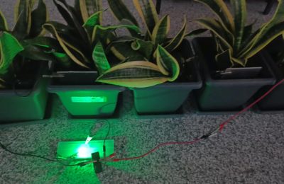 Her şey çocuğun sorusuyla başladı. Bitkilerden üretildi, bir odaya yetiyor