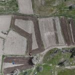 Kızılcahamam’da 40 Yıllık Özlem Bitti, Pirinç Geri Döndü