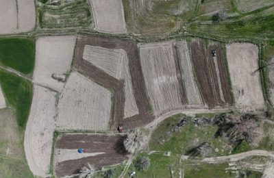 Kızılcahamam’da 40 Yıllık Özlem Bitti, Pirinç Geri Döndü