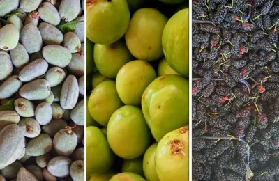 Bolu Pazarı’nda meyve mesaisi: Etiketler değişti, vatandaş yaz meyvesine yöneldi!