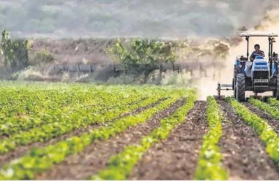 Düzce’de İyi Tarım Uygulamaları Desteklemeleri Askıya Çıktı: Son Günlere Dikkat!