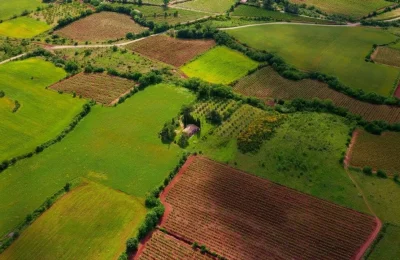 Gayrimenkulde Rota Değişti: Arazi Satışlarında Keskin Fren