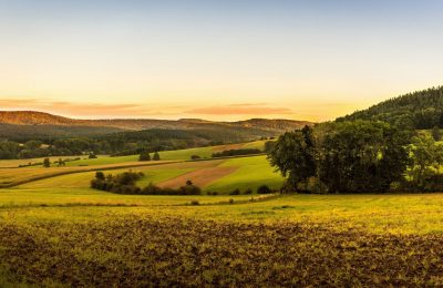 Tarım Arazilerinde Yeni Dönem: Resmî Gazete’de Yayımlandı, Kurallar Sertleşti!