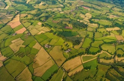 Arsa Yatırımında Yeni Rota: İstanbul’un Tahtına Rize Oturdu