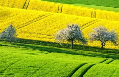 Tarım Arazileri İçin Yeni ‘Anayasa’ Yürürlüğe Girdi