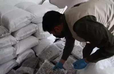 Türkiye-Suriye Ortak Operasyonu: 236 Kilo Esrar Ele Geçirildi